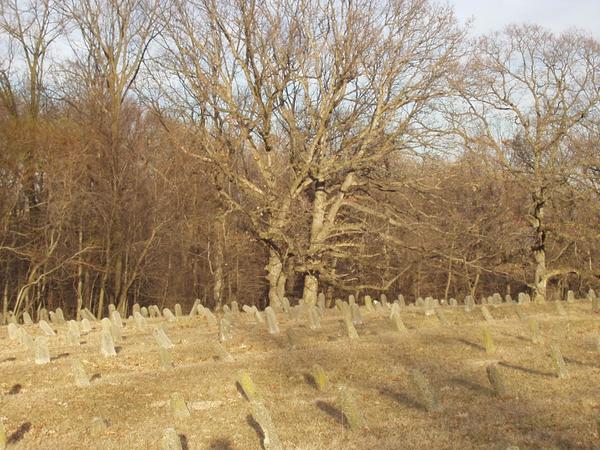 Old headstones