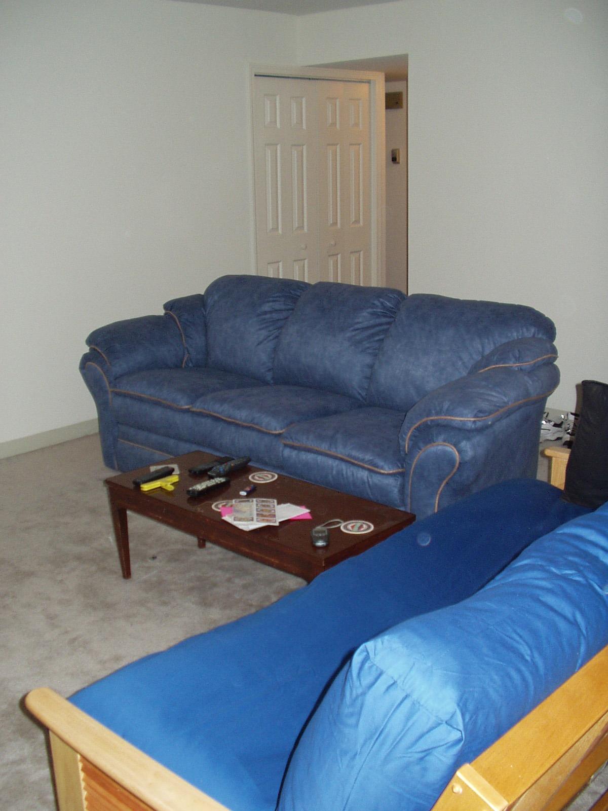 newcouches1.jpg