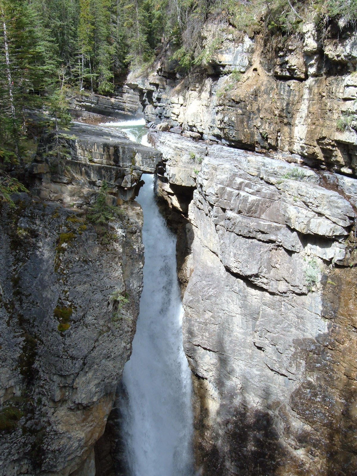 JohnstonCanyon6.jpg