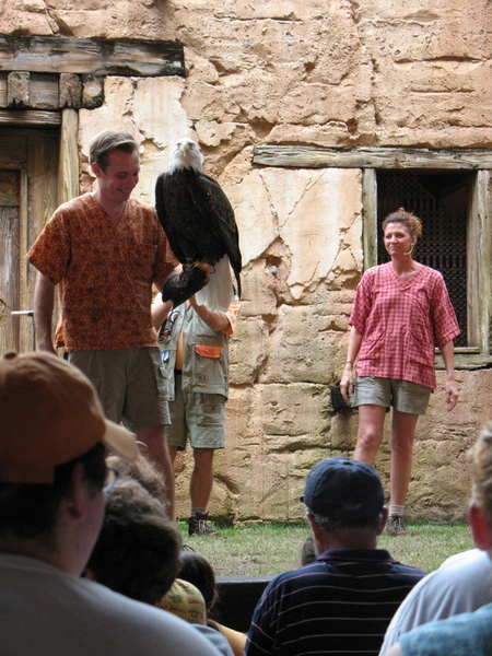 BirdShow3