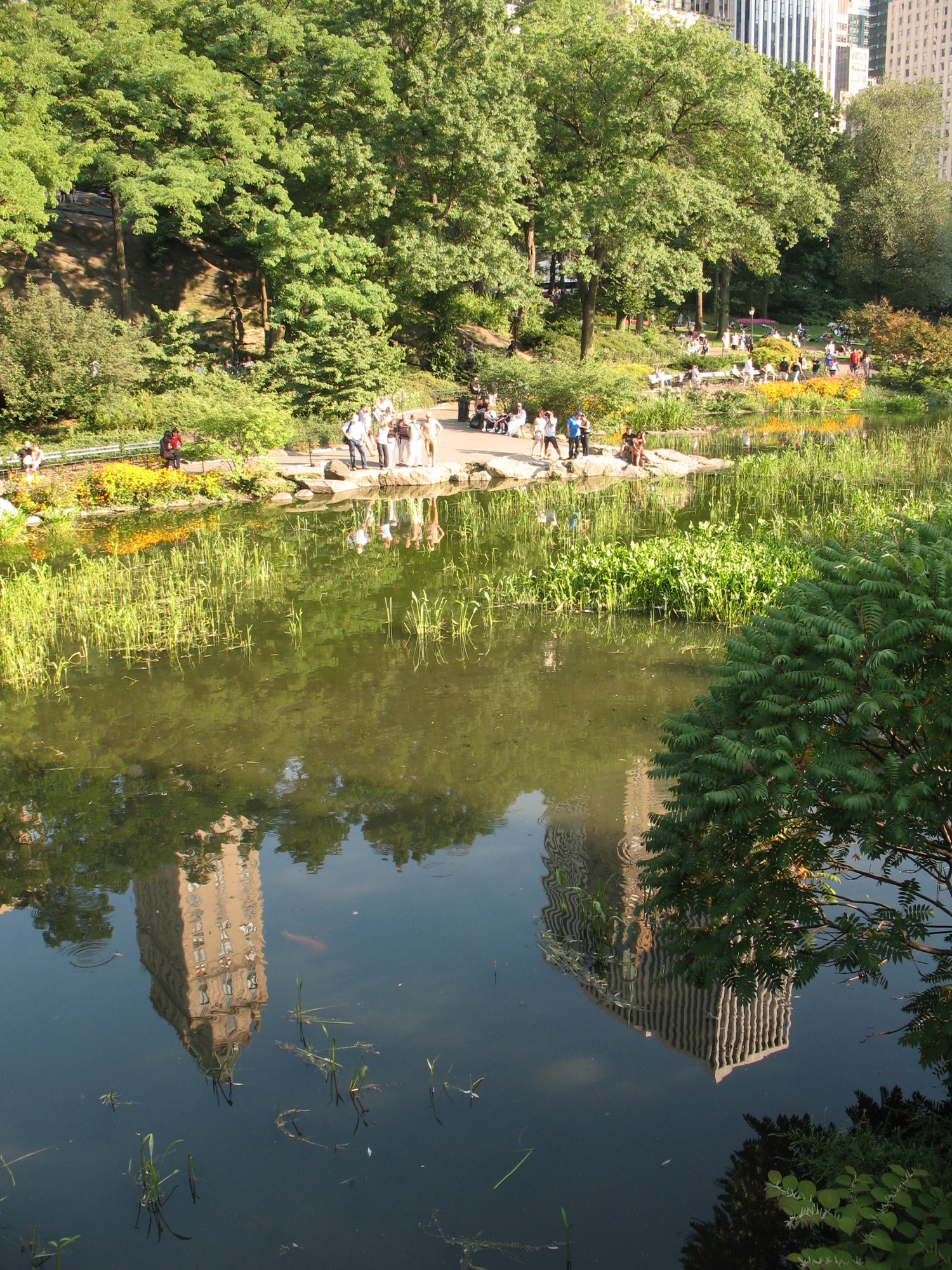 central_park15