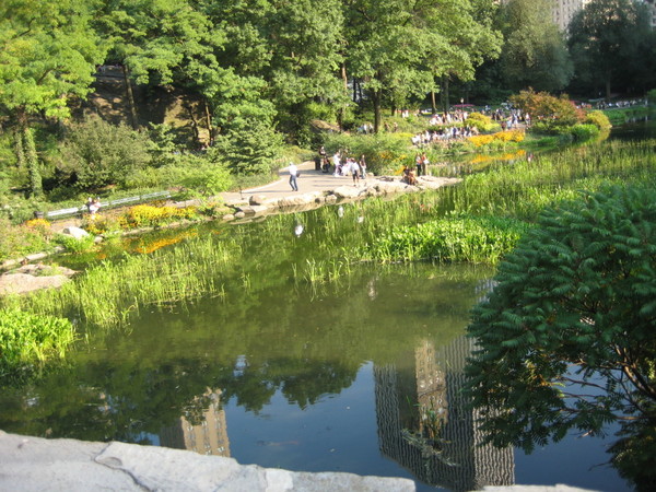 central_park16